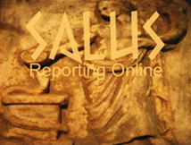 Incident reporting online