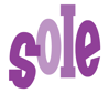 SOLE - Course Evaluation